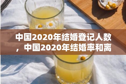 中国2020年结婚登记人数，中国2020年结婚率和离婚率