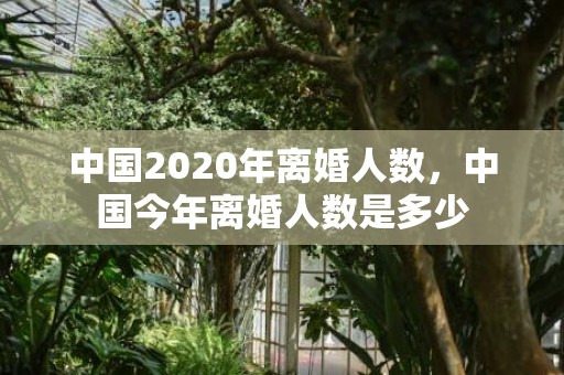 中国2020年离婚人数，中国今年离婚人数是多少