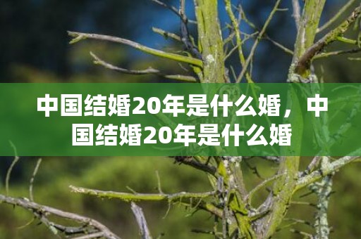 中国结婚20年是什么婚，中国结婚20年是什么婚