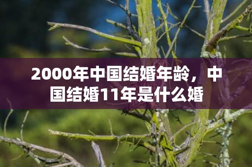 2000年中国结婚年龄，中国结婚11年是什么婚