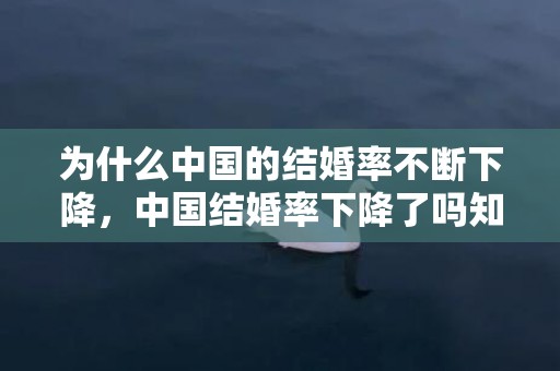 为什么中国的结婚率不断下降，中国结婚率下降了吗知乎