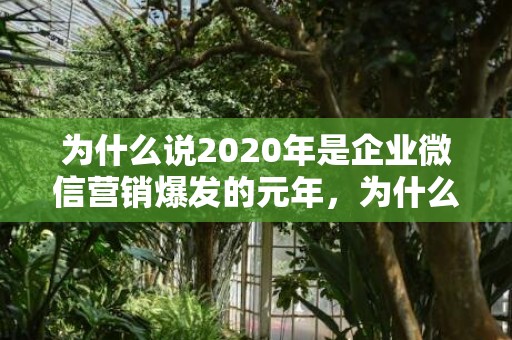 为什么说2020年是企业微信营销爆发的元年，为什么说2020年结婚不好呢