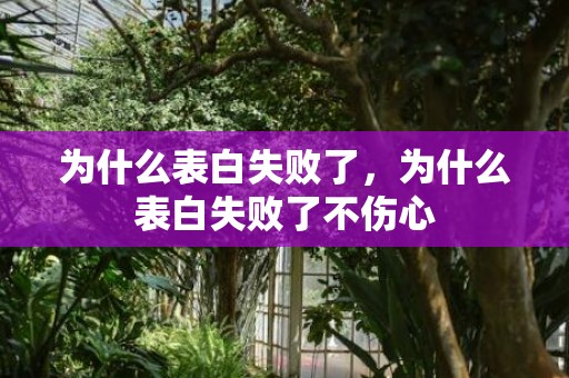 为什么表白失败了，为什么表白失败了不伤心