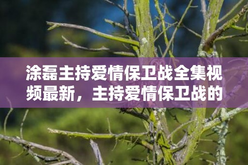 涂磊主持爱情保卫战全集视频最新，主持爱情保卫战的都有谁