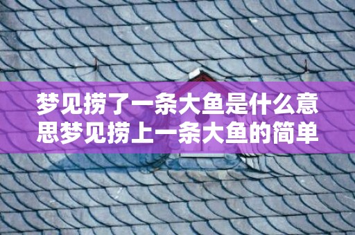 梦见捞了一条大鱼是什么意思梦见捞上一条大鱼的简单介绍