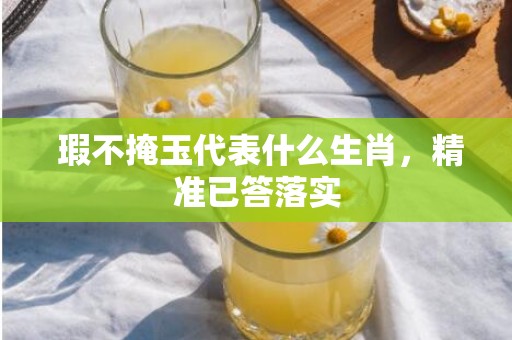  瑕不掩玉代表什么生肖，精准已答落实