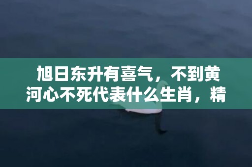  旭日东升有喜气，不到黄河心不死代表什么生肖，精准已答落实