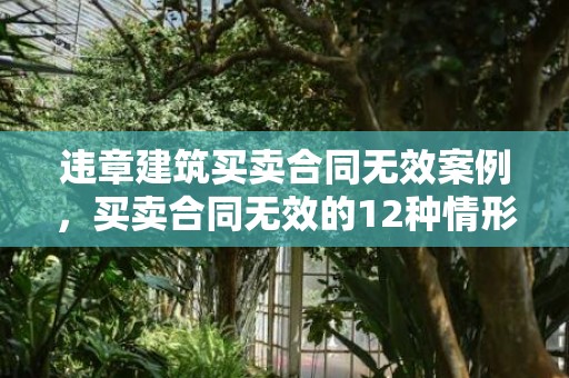 违章建筑买卖合同无效案例，买卖合同无效的12种情形