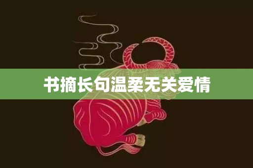 书摘长句温柔无关爱情