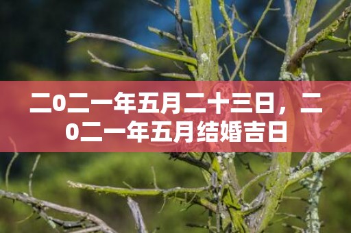 二0二一年五月二十三日，二0二一年五月结婚吉日