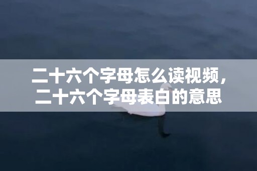 二十六个字母怎么读视频，二十六个字母表白的意思