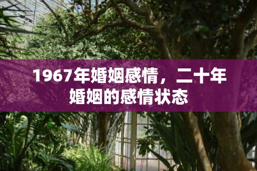 1967年婚姻感情，二十年婚姻的感情状态