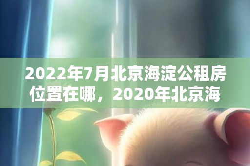 2022年7月北京海淀公租房位置在哪，2020年北京海淀公租房最