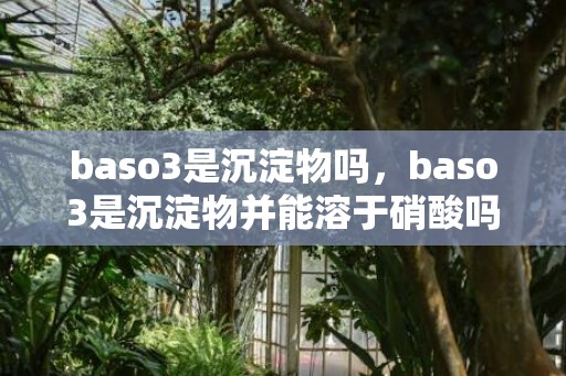 baso3是沉淀物吗，baso3是沉淀物并能溶于硝酸吗多分