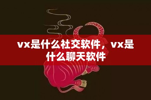 vx是什么社交软件，vx是什么聊天软件