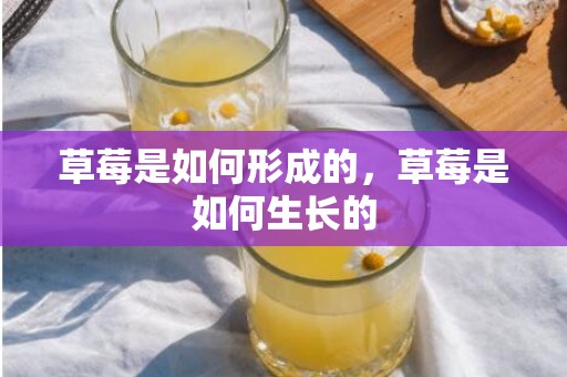 草莓是如何形成的，草莓是如何生长的