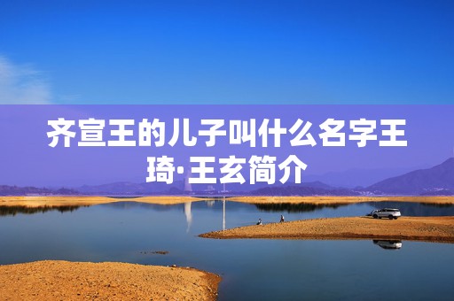 齐宣王的儿子叫什么名字王琦·王玄简介