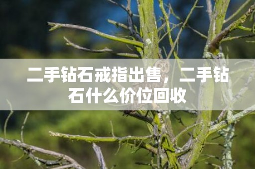 二手钻石戒指出售，二手钻石什么价位回收