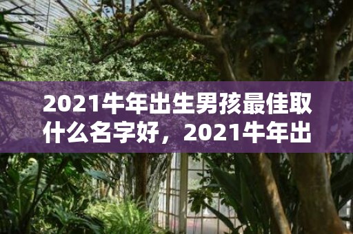 2021牛年出生男孩最佳取什么名字好，2021牛年出生宝宝是什么命 他们有什么样的命运