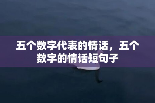 五个数字代表的情话，五个数字的情话短句子