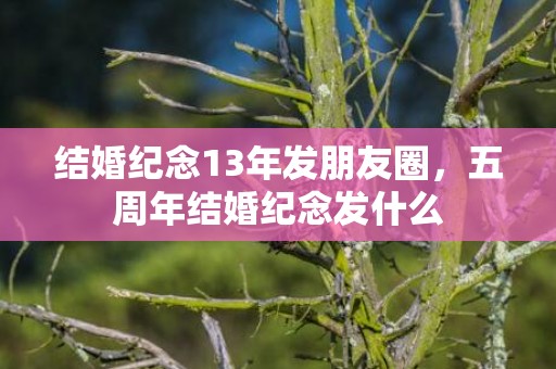 结婚纪念13年发朋友圈，五周年结婚纪念发什么