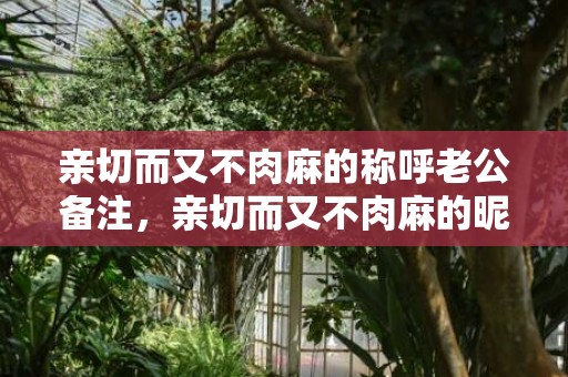 亲切而又不肉麻的称呼老公备注，亲切而又不肉麻的昵称