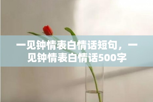 一见钟情表白情话短句，一见钟情表白情话500字