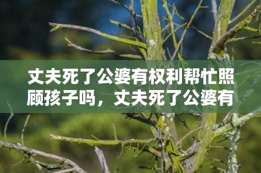 丈夫死了公婆有权利帮忙照顾孩子吗，丈夫死了公婆有权继承吗