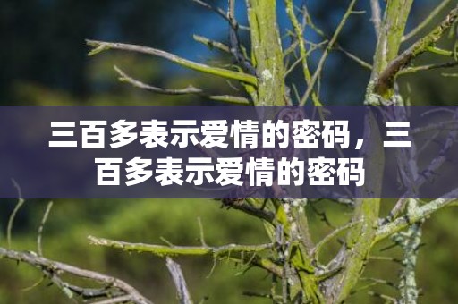 三百多表示爱情的密码，三百多表示爱情的密码