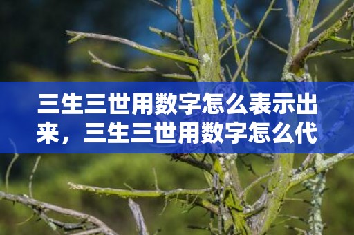 三生三世用数字怎么表示出来，三生三世用数字怎么代表