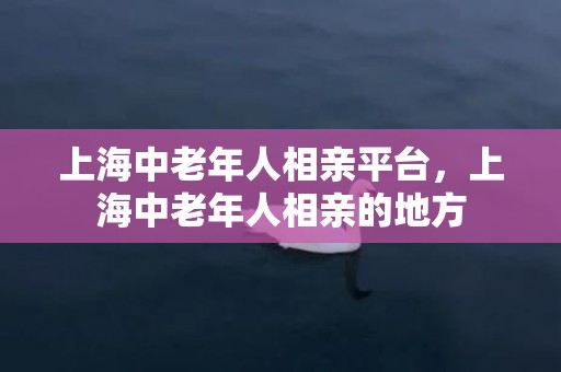 上海中老年人相亲平台，上海中老年人相亲的地方