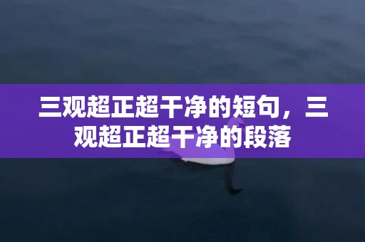 三观超正超干净的短句，三观超正超干净的段落