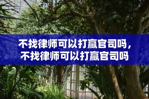 不找律师可以打赢官司吗，不找律师可以打赢官司吗