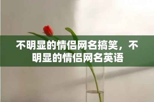 不明显的情侣网名搞笑，不明显的情侣网名英语