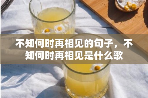 不知何时再相见的句子，不知何时再相见是什么歌