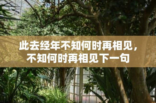 此去经年不知何时再相见，不知何时再相见下一句