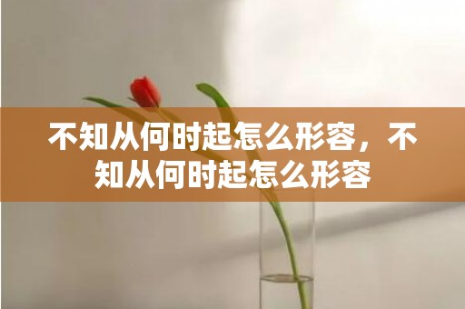 不知从何时起怎么形容，不知从何时起怎么形容