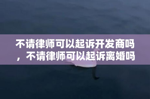 不请律师可以起诉开发商吗，不请律师可以起诉离婚吗