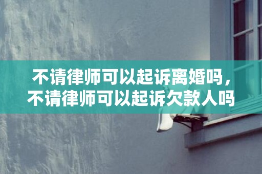 不请律师可以起诉离婚吗，不请律师可以起诉欠款人吗