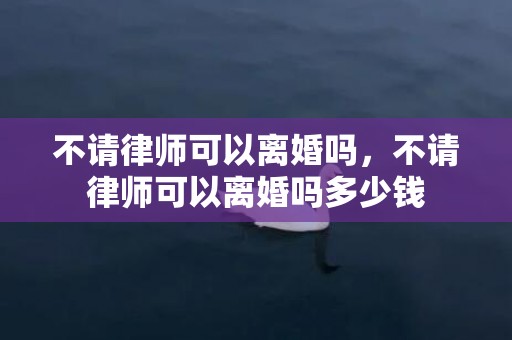 不请律师可以离婚吗，不请律师可以离婚吗多少钱