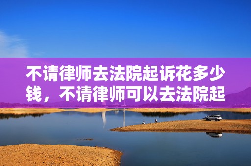 不请律师去法院起诉花多少钱，不请律师可以去法院起诉吗