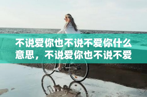 不说爱你也不说不爱你什么意思，不说爱你也不说不爱你