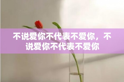 不说爱你不代表不爱你，不说爱你不代表不爱你