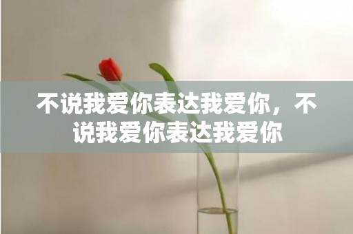 不说我爱你表达我爱你，不说我爱你表达我爱你