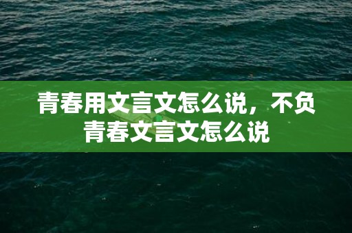 青春用文言文怎么说，不负青春文言文怎么说