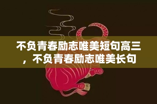 不负青春励志唯美短句高三，不负青春励志唯美长句