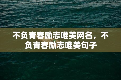 不负青春励志唯美网名，不负青春励志唯美句子