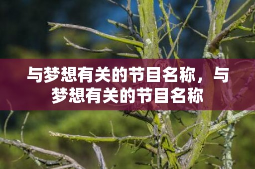 与梦想有关的节目名称，与梦想有关的节目名称