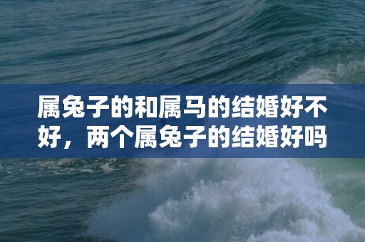 属兔子的和属马的结婚好不好，两个属兔子的结婚好吗