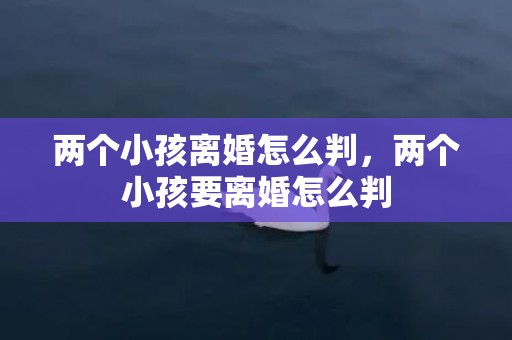 两个小孩离婚怎么判，两个小孩要离婚怎么判